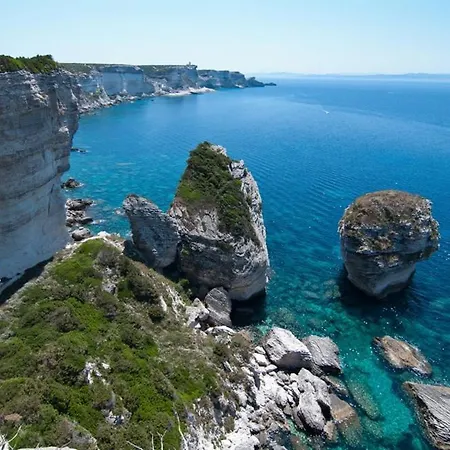 T3 65 M2 Centre * Porto-Vecchio (Corsica)