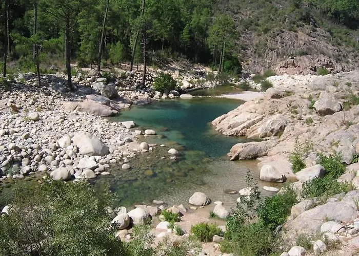 T3 65 M2 Centre 维琪奥港