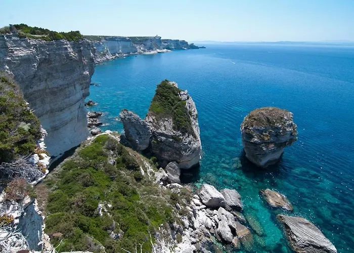 T3 65 M2 Centre * 维琪奥港