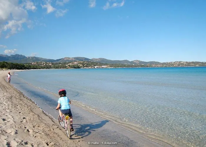 Appartement T3 65 M2 Centre